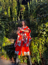 Image 5 of Orange Bliss