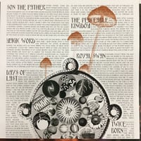 Image 3 of Fucked Up - The Chemistry Of Modern Life