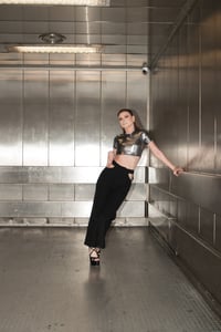 Image 3 of Metallic silver crop 