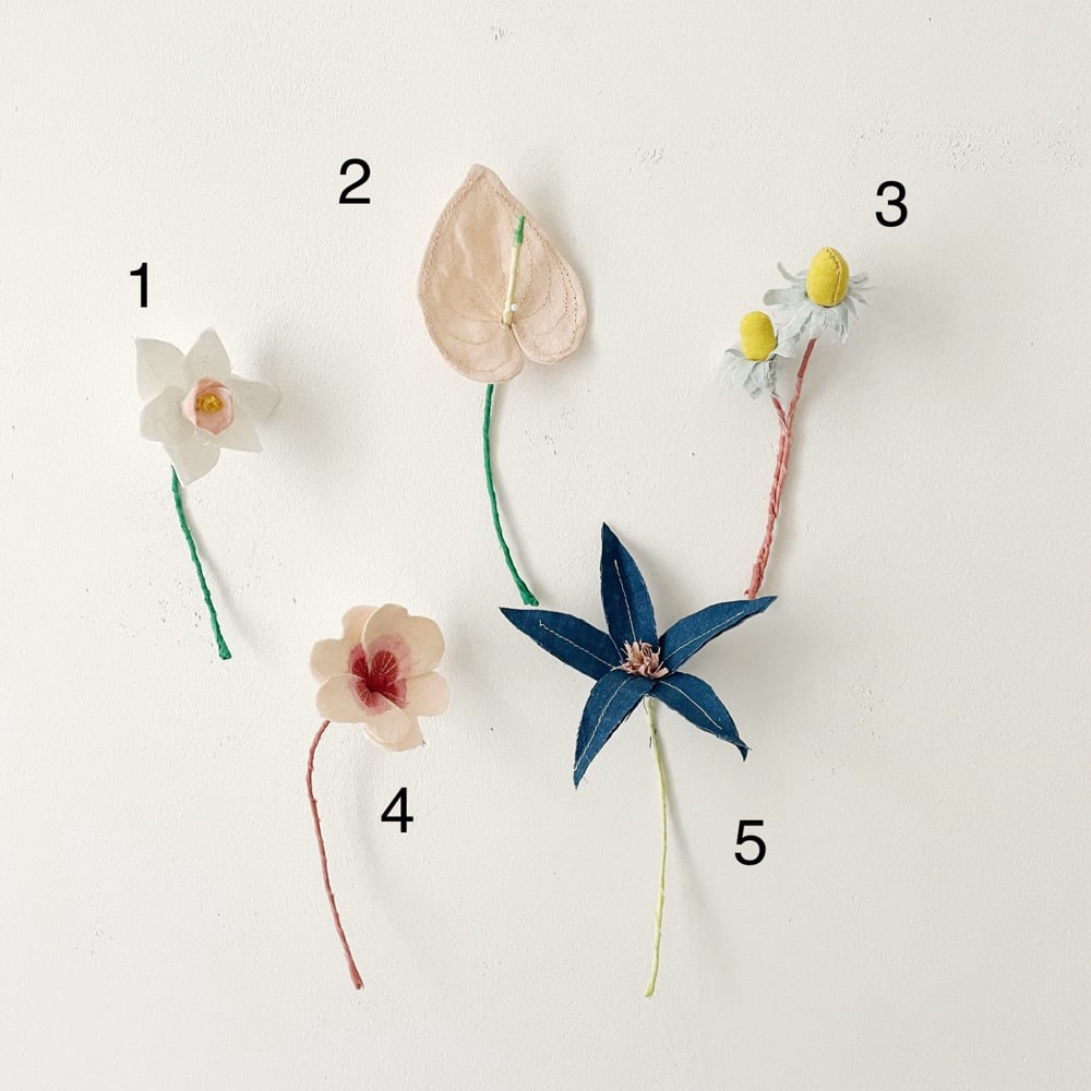 Image of cocon mini mini flowers 