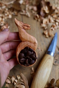 Image 7 of Fox Coffee Scoop 
