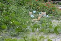 Image 10 of Build-a-bundle in Mint Chip