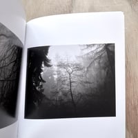Image 7 of Al Brydon - As We Wander (Signed)