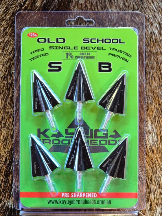 Image of kayuga old schools 