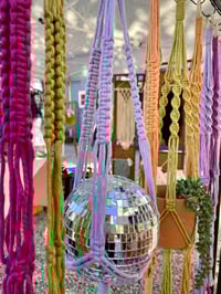 Image 1 of Budget Friendly Plant Hanger