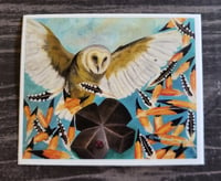 Image 2 of Bird Stickers
