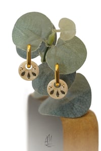 Image 1 of Attrazione Limited Edition 