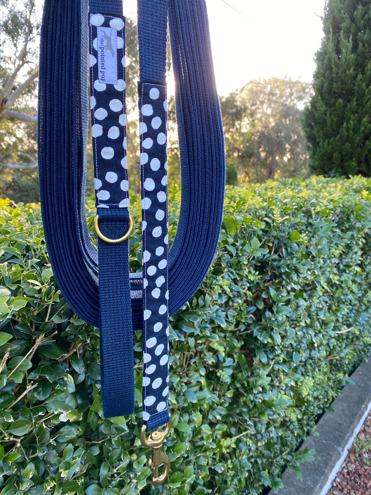 10 metre 2024 dog lead