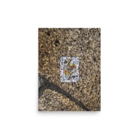 Image 4 of #12