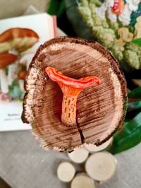 Image 4 of Grzybowe magnesy na lodówkę 