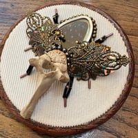 Image 2 of Butterfly beetle (b, 4 inches)