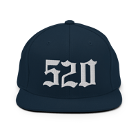 Image 2 of LOWER AZ 520 Snapback Hat