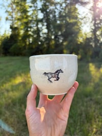 Image 3 of Wild horses