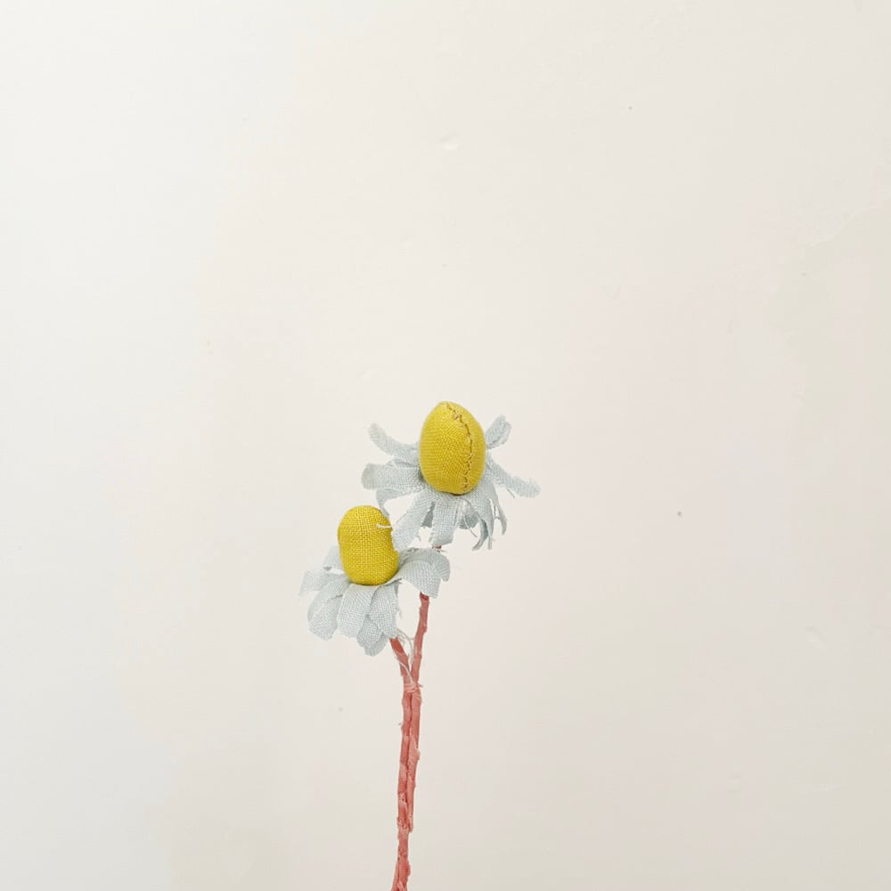 Image of cocon mini mini flowers 