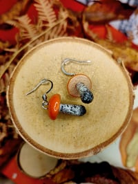 Image 2 of Kolczyki koźlarze pomarańczowo-żółte aka Brzozak 