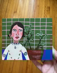 Image 4 of House Plant