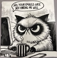 Image 1 of office humor No your emails are not finding me well