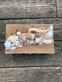 Image 4 of Beach Treasure Chest