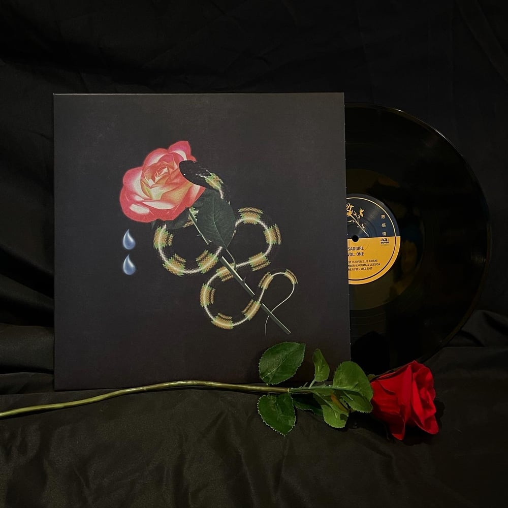 Image of “LIMITED EDITION” Vinyl Compilation 