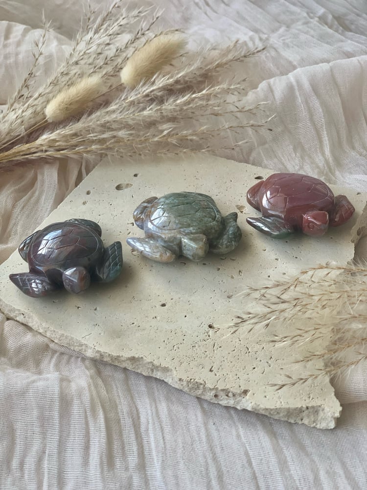 Image of Ocean Jasper Turtles 