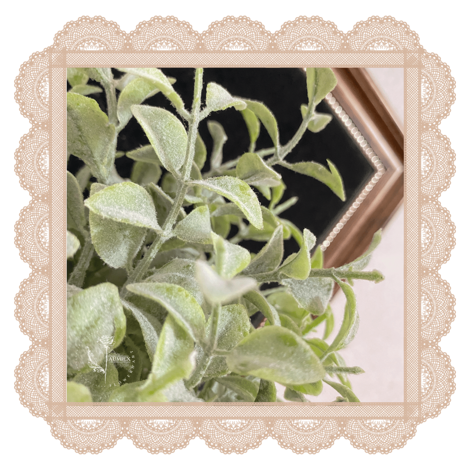 Image of Velvet Potted Eucalyptus