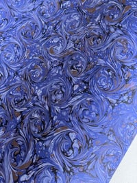 Image 2 of French Curls - Limited Edition