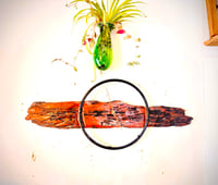 Image 1 of Handcrafted Cherry Birch Clock