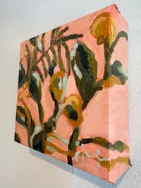 Image 2 of Sunlit