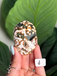 Image 10 of CHOOSE YOUR OWN ORBICULAR VEINLESS OCEAN JASPER PALM STONES -MADAGASCAR- 