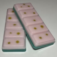 Image 1 of 'Watermelon' Wax Melts