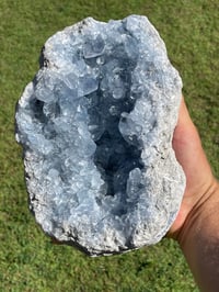 Image 3 of Celestite Cluster #1800
