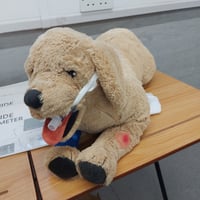 Image 1 of PJ the OSCE Practice Dog!