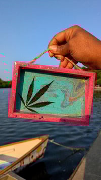Image 1 of Cotton Candy Shadowbox