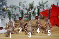 Image 2 of Pine Tree Mandrakes