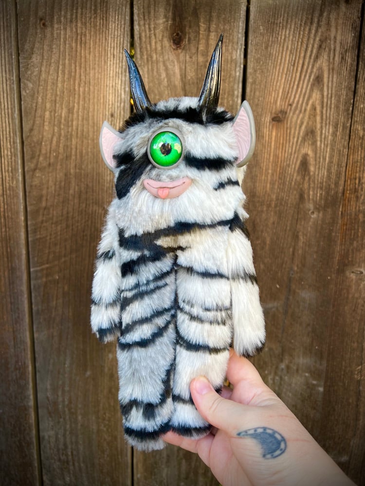 Striped cyclops 