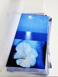 Image 2 of PANSY - BLUE SEA 