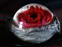 Image 2 of Blood Splash Snaggletooth Pendant