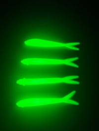 Image 1 of Glow Green Minnow 7 pcs (Premium)
