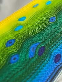 Image 1 of Mahi Mahi Thin by Mikie