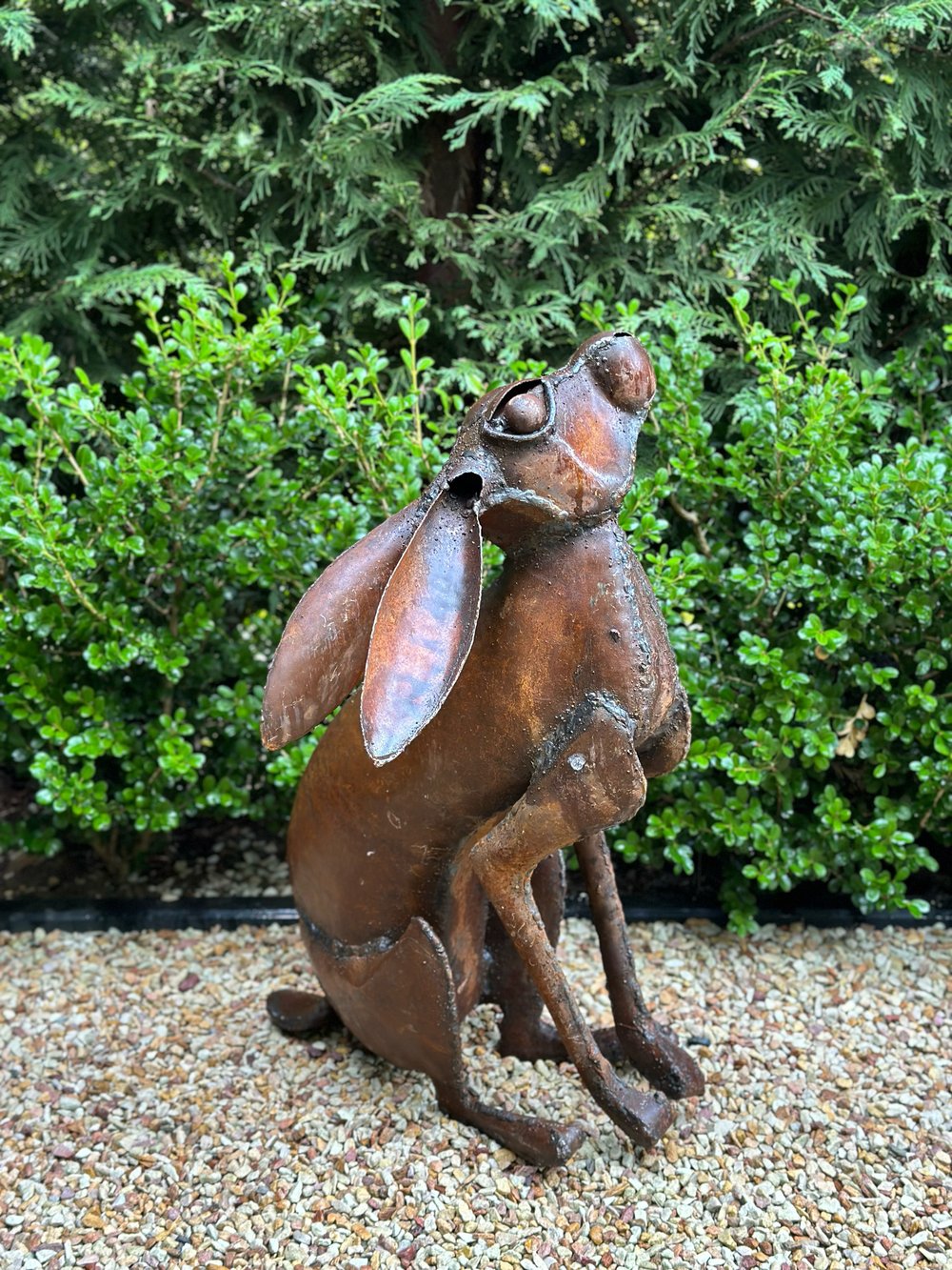 Image of Garden Hare IV