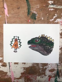 Tuatara a4 print