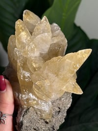 Image 7 of XXL SWEETWATER CALCITE WITH PYRITE -MISSOURI- PORCUPINE POCKET 2025 C