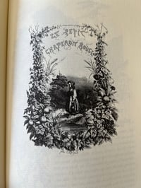 Image 19 of Les contes de Charles Perrault, éditions de luxe Jean de Bonnot, 1978.