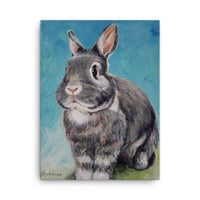 Image 3 of Grey Bunny