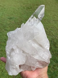 Image 1 of Clear Quartz Crystal Points Cluster #865