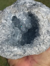Image 8 of Celestite Geode #1951