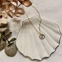 ΑΤΣΑΛΙΝΟ ΚΟΛΙΕ ΤΟΞΟΤΗΣ