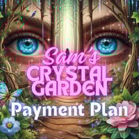 Lee Lee payment 2