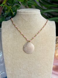 Image 2 of Sharktooth in a Shell Necklace ST116