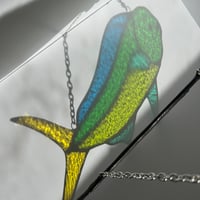 Image 2 of Mahi Mahi Translucent